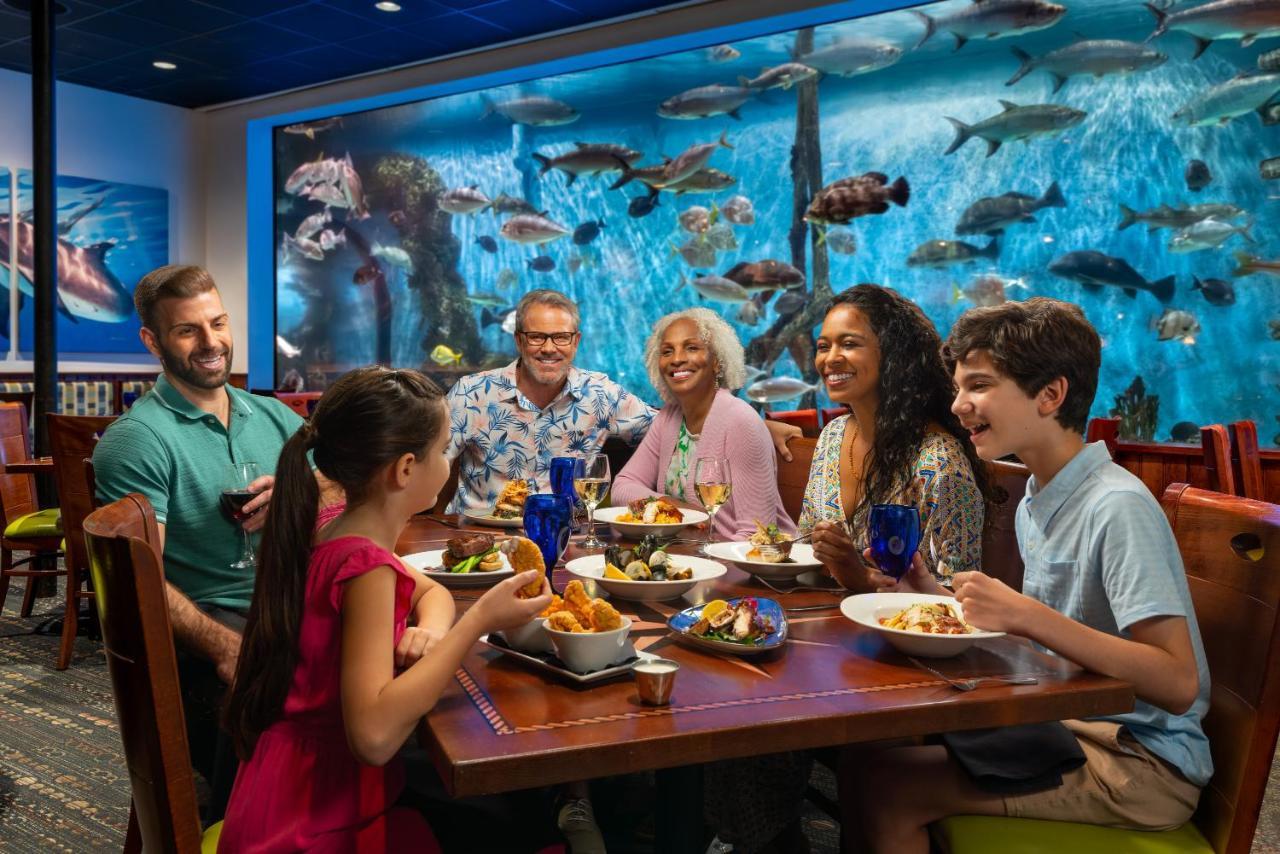 Rumfish Beach At Tradewinds St. Pete Beach Exterior foto